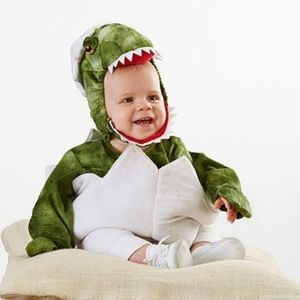 Baby Green Dinosaur Egg Costume